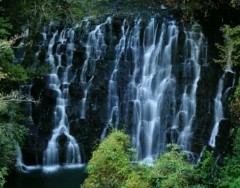 Elephant Fall Charladka